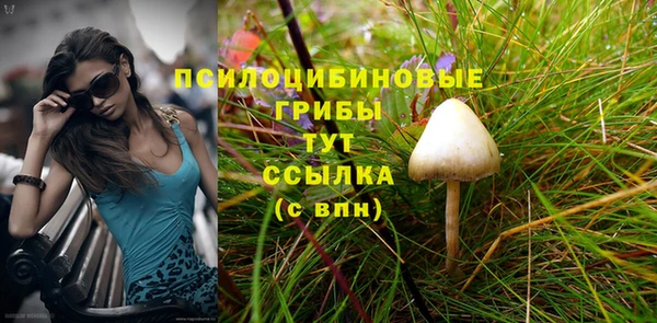 мет Горно-Алтайск