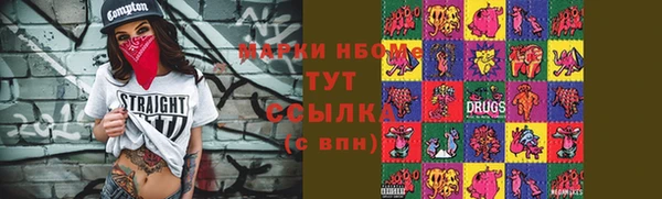 соль ск Горняк