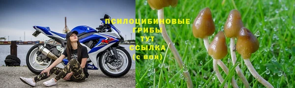 соль ск Горняк