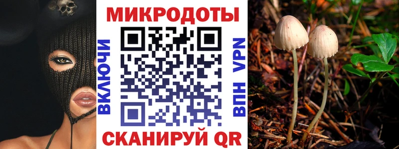 Псилоцибиновые грибы мицелий  Купить где  Кирсанов 